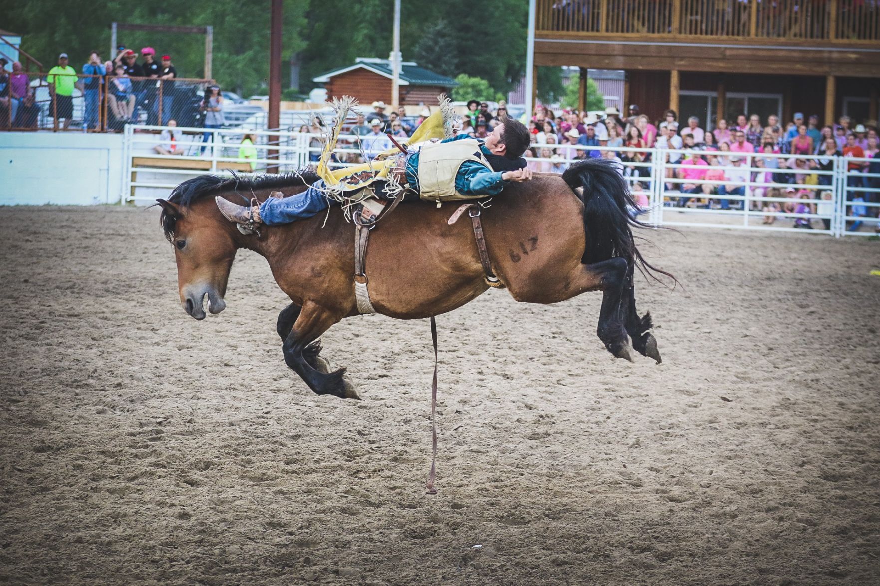 Buffalo Bill Rodeo Night 2 (37).jpg